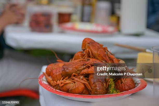 swedish crayfish parties, kräftskiva, are held each year during august and september - crayfish stock pictures, royalty-free photos & images