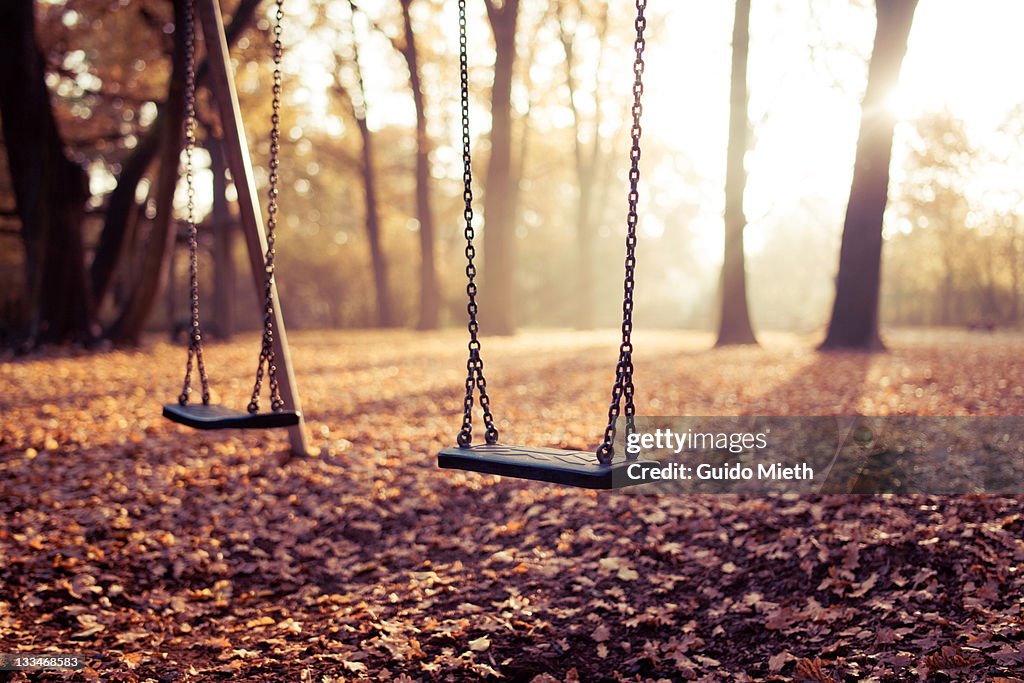 Two swings on playground in sunlight