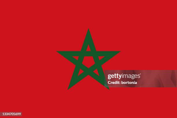 stockillustraties, clipart, cartoons en iconen met morocco african country flag - vlag