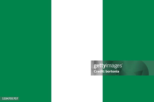 nigeria african country flag - nigeria flag stock illustrations