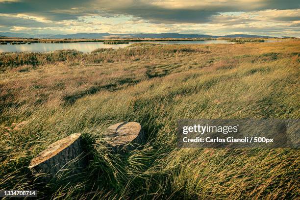 scenic view of land against sky during sunset,el calafate,santa cruz province,argentina - paisajes argentina stock-fotos und bilder