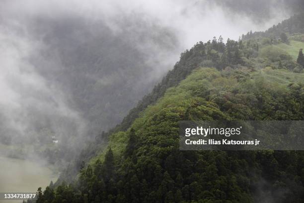green forest hill over green lake, mist - furnas valley stock pictures, royalty-free photos & images
