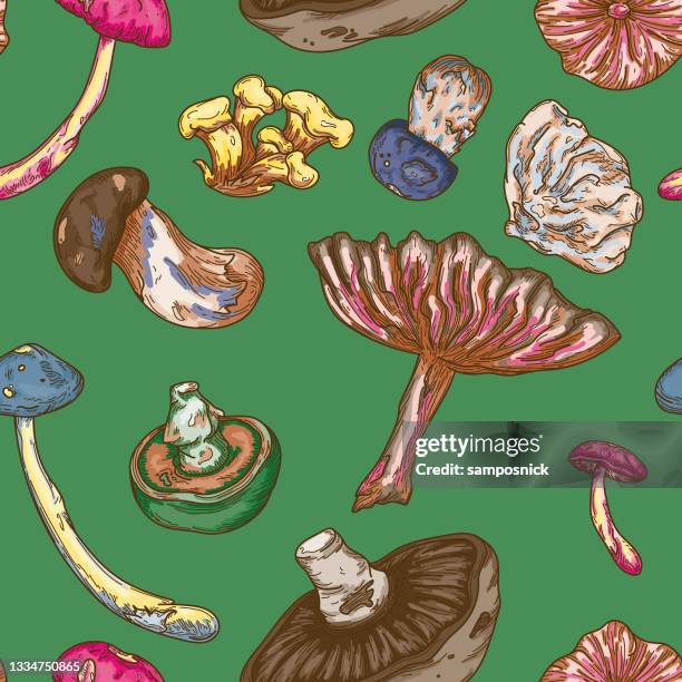 psychedelic colour line art forest mushroom seamless pattern - chanterelle stock illustrations