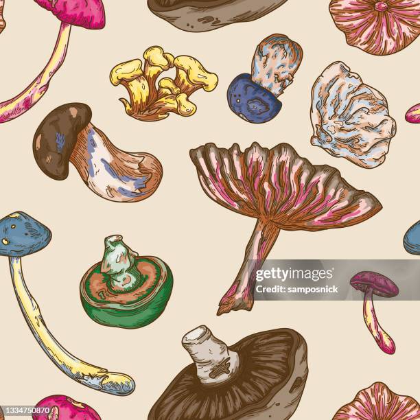 stockillustraties, clipart, cartoons en iconen met psychedelic colour line art forest mushroom seamless pattern - eetbare paddenstoel