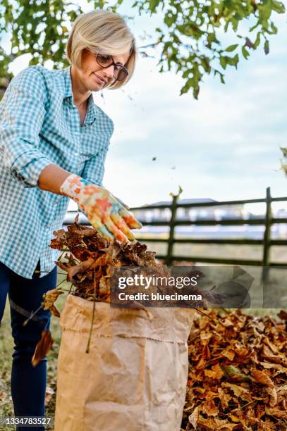 frau, die gefallenes herbstlaub im hof sammelt - collection automne stock-fotos und bilder