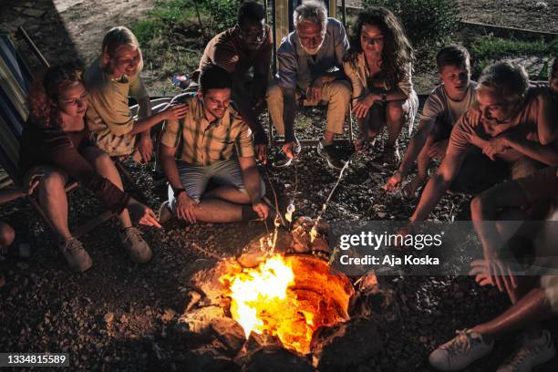 friends and family roasting marshmallows over bonfire. - campfire stock pictures, royalty-free photos & images