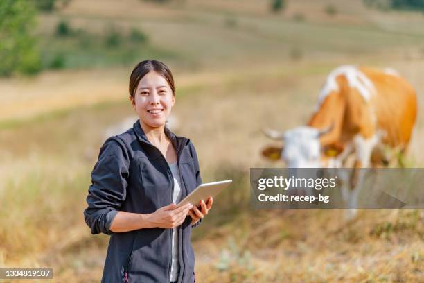 bäuerin, die rinder mit einem digitalen tablet überprüft - female animal stock-fotos und bilder