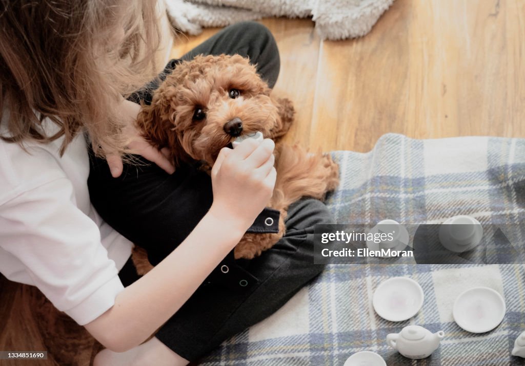 Puppy Tea Party