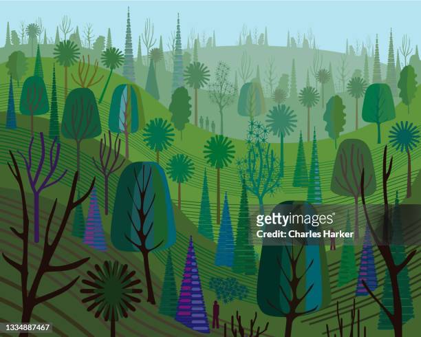 green forest refreshing mountain landscape illustration - sky and trees green leaf illustration foto e immagini stock