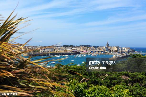 roscoff (brittany/ france) - roscoff stock pictures, royalty-free photos & images