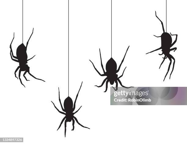 four black spiders hanging from their webs - hanging stock illustrations