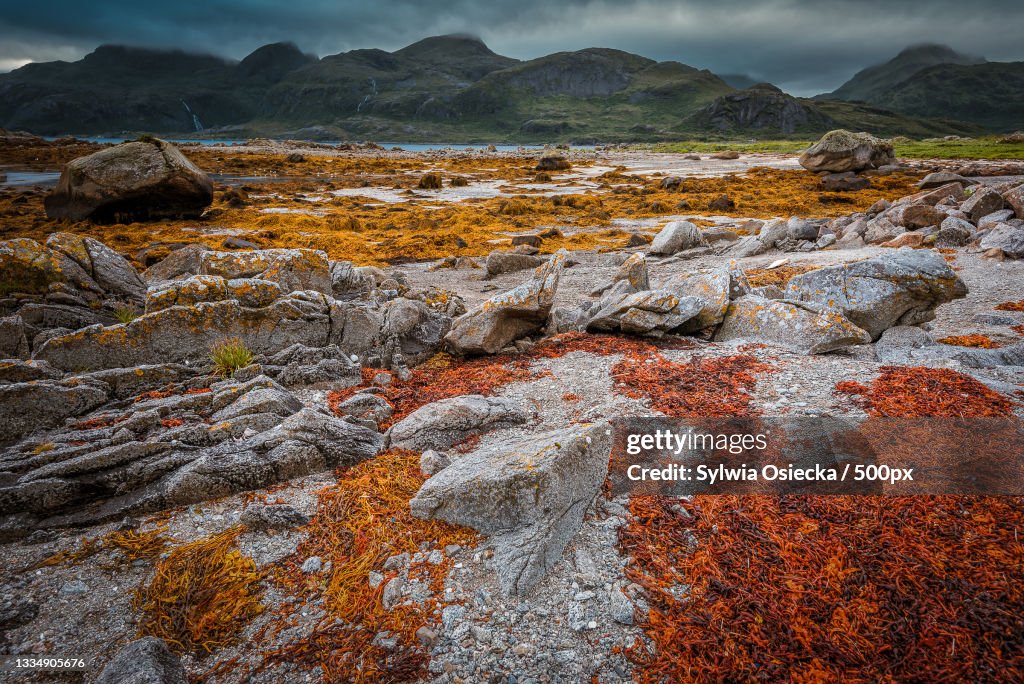 Scenic view of rocky mountains against sky,Lofoty,Norway