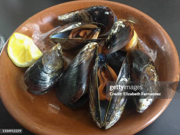 Sea Messusle Sea Mussels Photos and Premium High Res Pictures - Getty Images