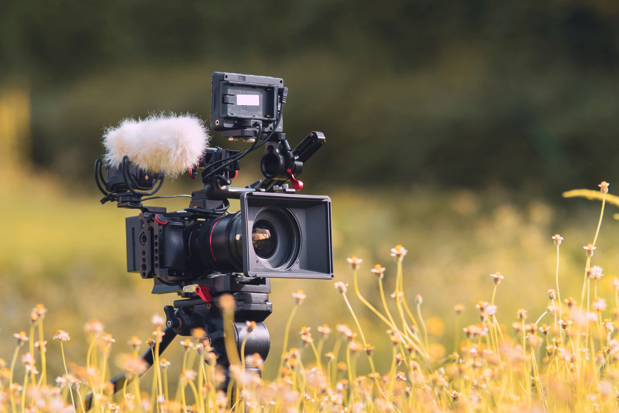 field recording