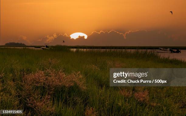 scenic view of field against sky during sunset,duxbury,massachusetts,united states,usa - duxbury, massachusetts stock pictures, royalty-free photos & images