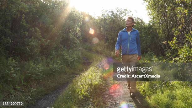 view of man following road through lush forest - man front view stock pictures, royalty-free photos & images