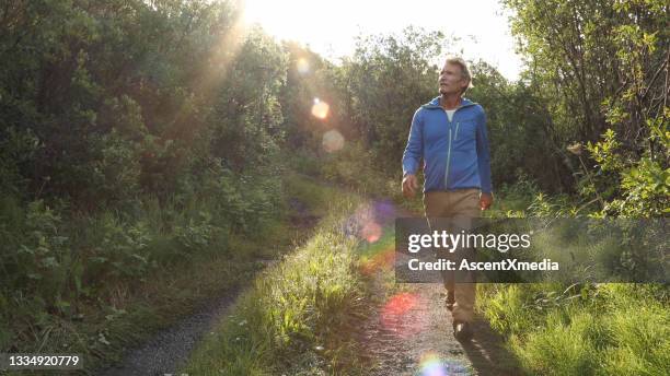view of man following road through lush forest - homem 55 anos imagens e fotografias de stock