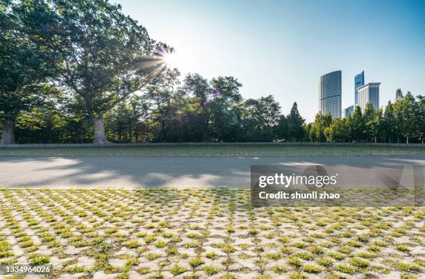 asphalt road in a city park - back lit background stock pictures, royalty-free photos & images