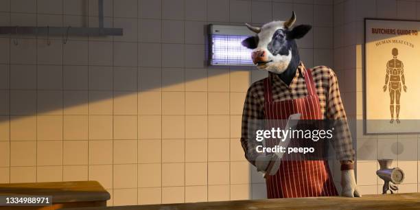cow butcher dressed in apron, shirt and gloves holding a cleaver in butchers shop - köttyxa bildbanksfoton och bilder