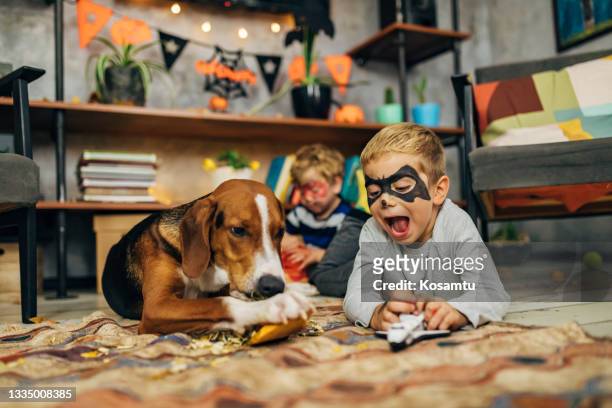 verspielte superhelden und ihr hund verbringen während der halloween-saison lustige zeit miteinander - family dog stock-fotos und bilder
