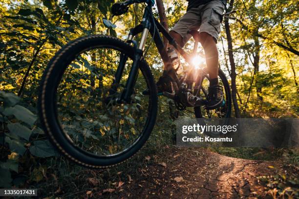 mountain bike forest ride trail - teenager cycling helmet stock pictures, royalty-free photos & images