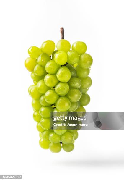 grape - druiven stockfoto's en -beelden