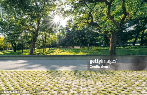 parking lot under the shade of trees - verdure stock pictures, royalty-free photos & images