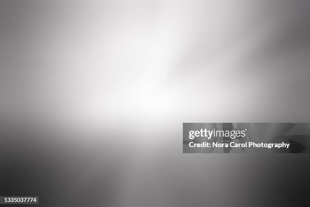 black and white backgrounds - gray color stock-fotos und bilder