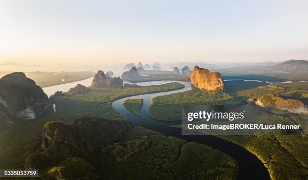 aerial view, mangrove forest with meandering river and high karst rocks during sunrise, ao phang-nga national park, phang-nga province, thailand - provincia di phang nga foto e immagini stock
