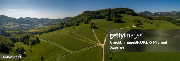 farmland and fork in the road in summer, drone image, basel-landschaft, switzerland - canton de bâle campagne photos et images de collection