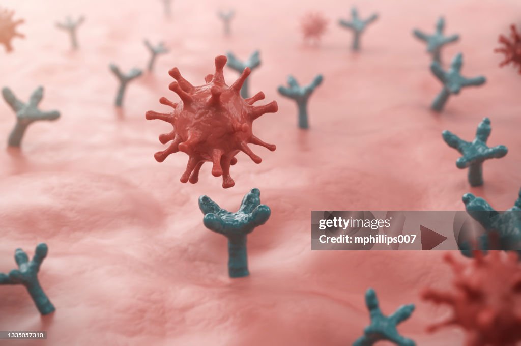 3D Covid-19 Delta Variant Binds with ACE2 Receptor