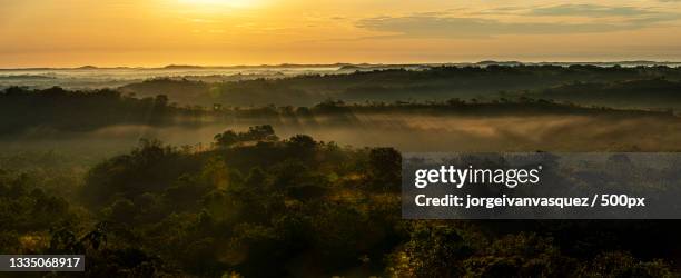 scenic view of landscape against sky during sunset,meta,colombia - meta photos et images de collection