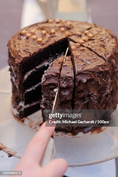 cropped hand of woman cutting cake slice in plate,berlin,germany - berliner gebäck stock-fotos und bilder