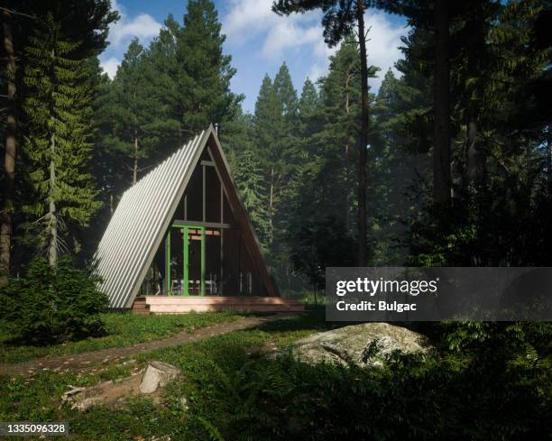 Trangular Forest 3,692 Triangular Home Stock Photos, High-Res Pictures, and Images ...