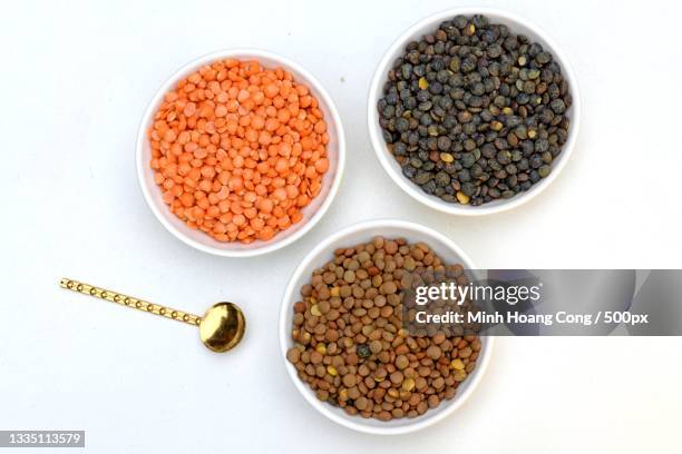 directly above shot of various spices in bowls on white background,france - lentil stockfoto's en -beelden