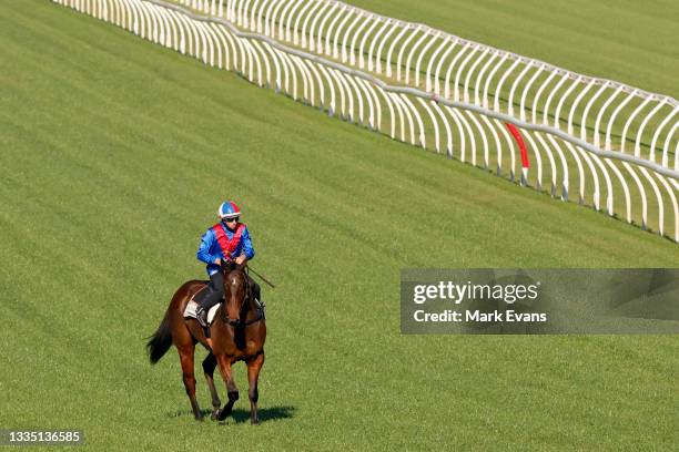 Hugh Bowman on Lost And Running after winning heat 2 during the barrier trials at Royal Randwick Racecourse on August 20, 2021 in Sydney, Australia.