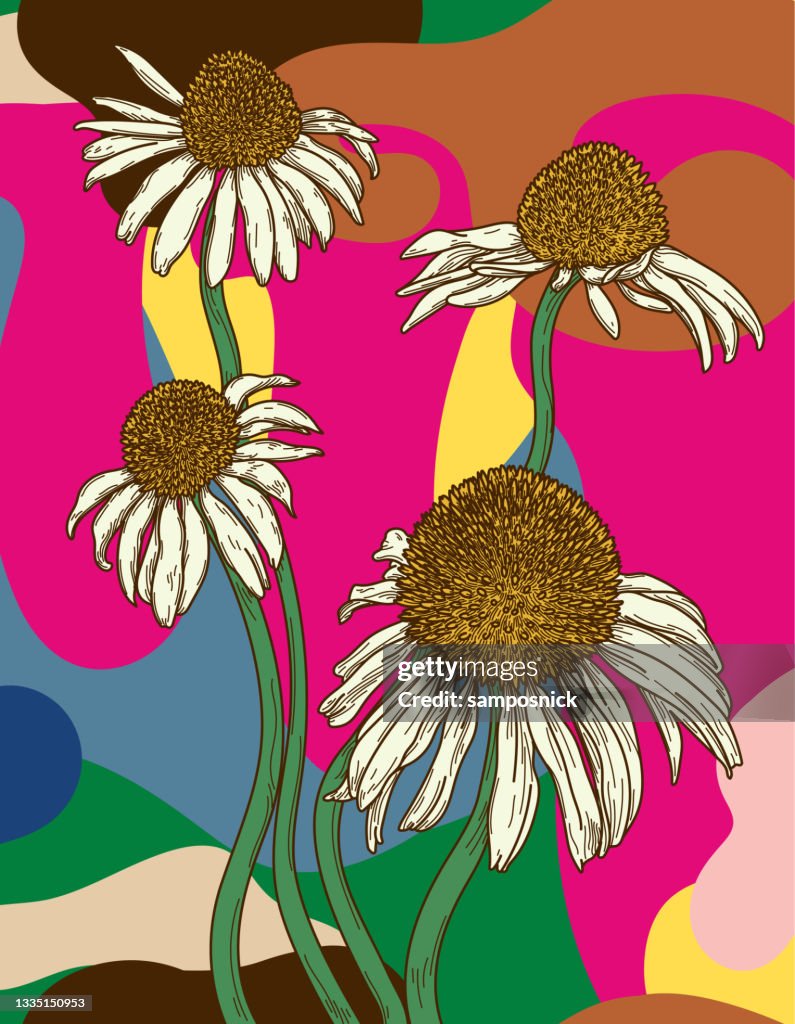 Coneflowers Line Art