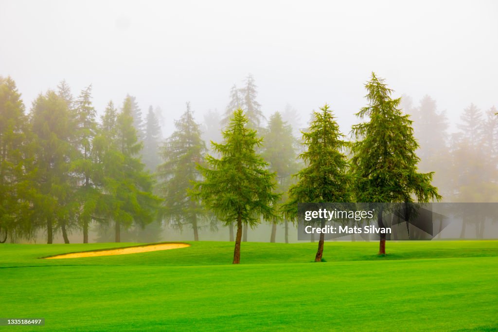 Golf Course with a Sand Trap and Trees with Fog