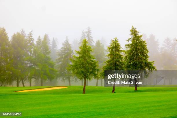 golf course with a sand trap and trees with fog - extreme weather stock pictures, royalty-free photos & images