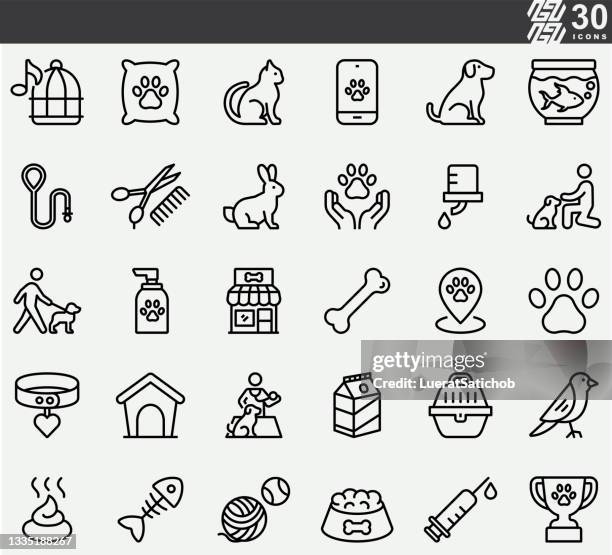 pet , animal , veterinary , pet care  line icons - pets icon stock illustrations