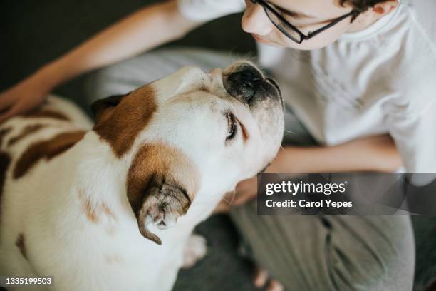 teenager boy stroking  his dog at home - emotional support animal stock pictures, royalty-free photos & images