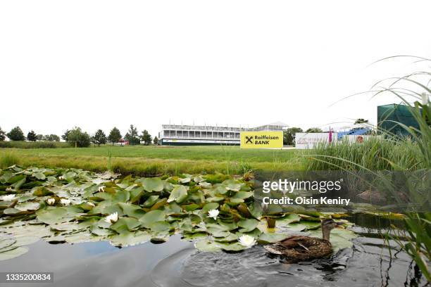 General view of the 18th hole as a duck is seen swimming in the lake during Day Two of The D+D Real Czech Masters at Albatross Golf Resort on August...