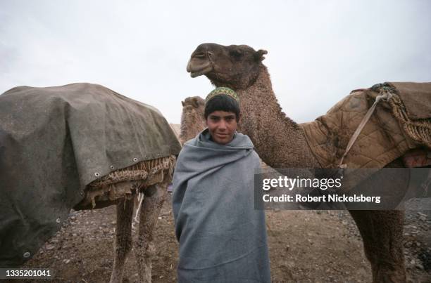 Portrait of a young boy as he poses with a pair of camels near the Afghan-Pakistan border, Paktia Province, Afghanistan, February 1, 1988. The camels...