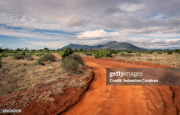 tracks of the safari roads in the tsavo east national park, kenya with blue sky and clouds. - kenya road stock pictures, royalty-free photos & images