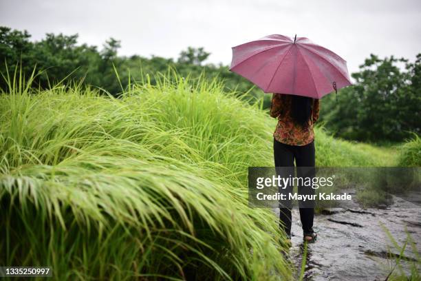 rear view of a young woman standing with her umbrella in a forest - enjoy monsoon photos et images de collection