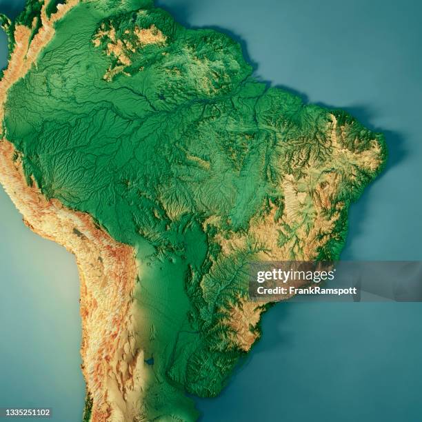 brésil 3d rendu couleur de la carte topographique - foret amazonienne photos et images de collection