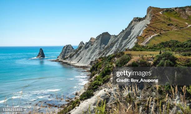 the scenery view of cape kidnappers an iconic famous landscape of hawke's bay region, new zealand. - ilha do norte da nova zelândia imagens e fotografias de stock