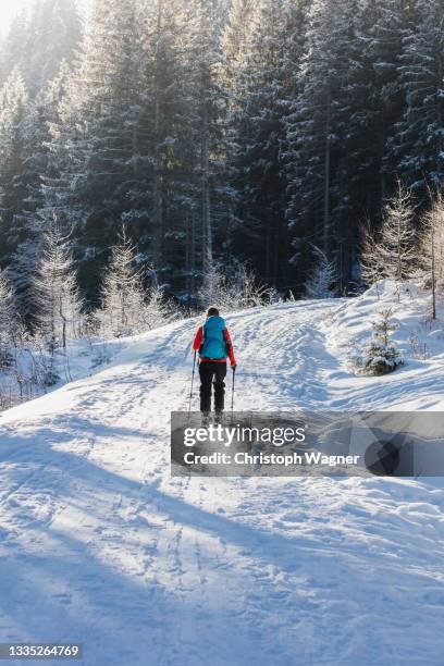 woman - skitour in the alps - zugspitze stock pictures, royalty-free photos & images