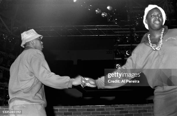 Parrish Smith and Erick Sermon of the hip hop group EPMD appear in concert at the Nassau Veteran's Memorial Coliseum on the "Run's House" Tour on...