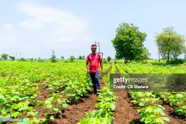 farmer spraying soybean field with pesticides and herbicides - spraying soybeans stock pictures, royalty-free photos & images